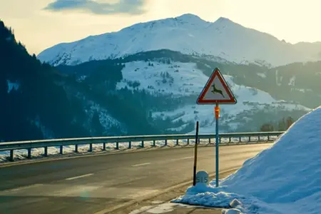 Red de autopistas de Suiza y el procedimiento para comprar la viñeta en 2026